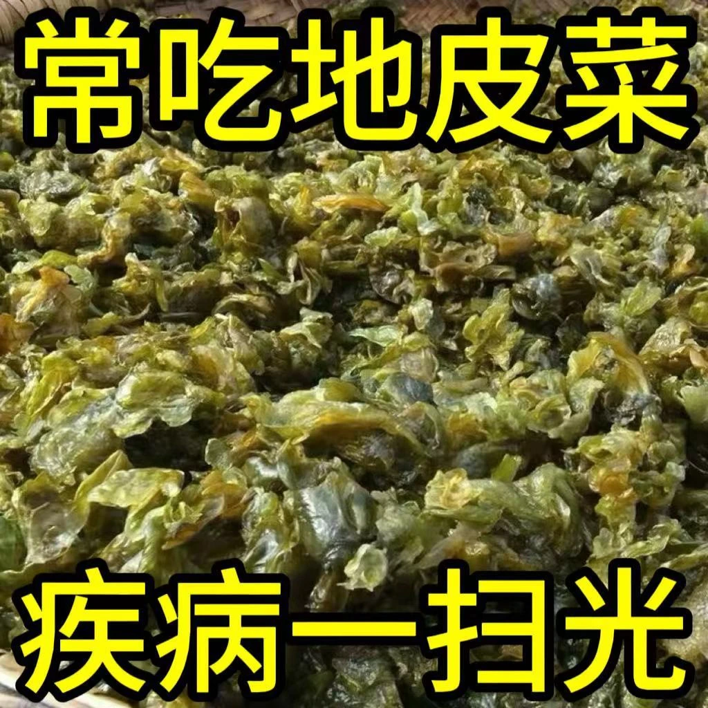 地皮菜甘肃野菜干货地软地达菜地衣雷公菌地耳新货地皮菜野生