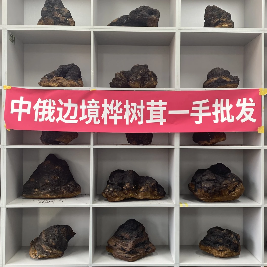 中俄边境 精品桦树茸 原块直播间定制款 改价后付款