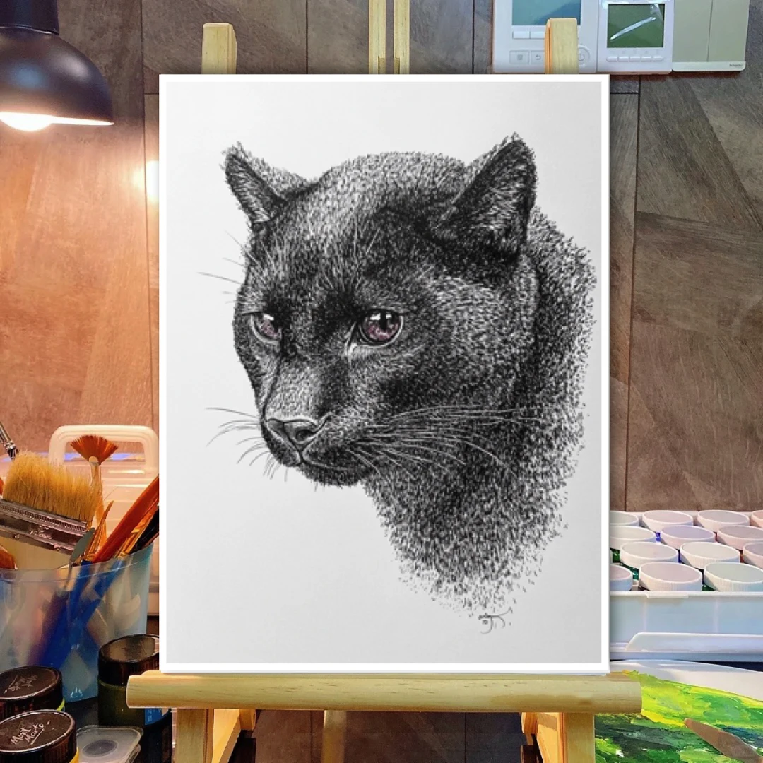 线描精细动物临摹卡儿童创意美术明信片线描可爱中级动物范图