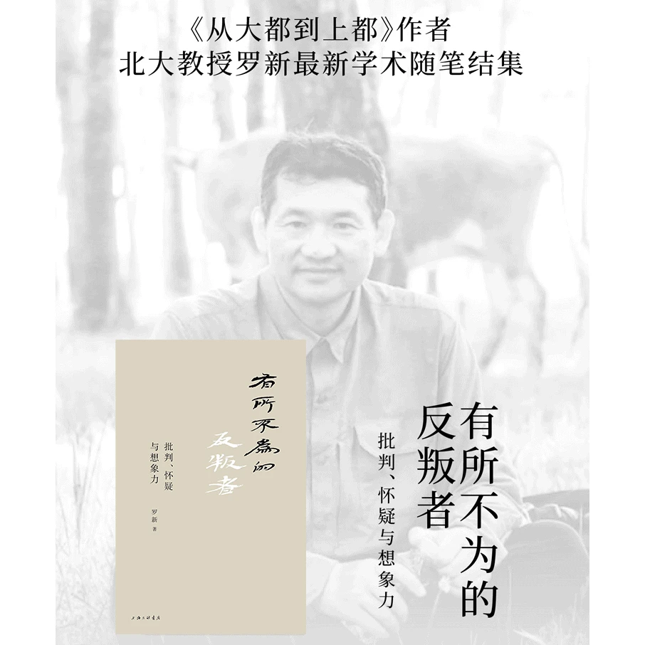 有所不为的反叛者丨北大教授罗新讲述历史学家三大美德
