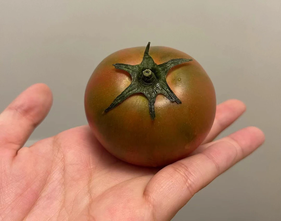 盘锦碱地柿子草莓柿子番茄铁皮柿子老柿子小时候味道酸酸甜甜