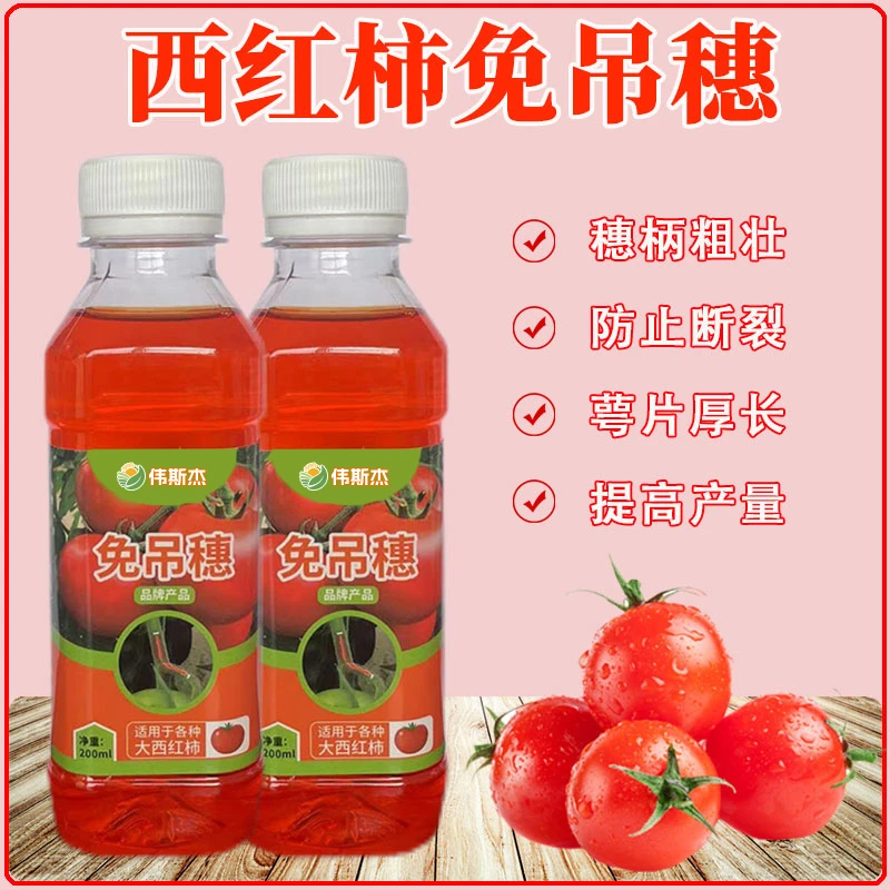 西红柿免吊穗强力增粗穗柄防断裂番茄专用防裂进口正品原装浓缩