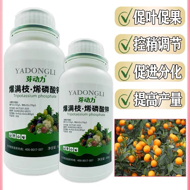 爆满枝烯磷酸钾膨果上色促花芽分化防畸形控梢控旺增产防病通用型