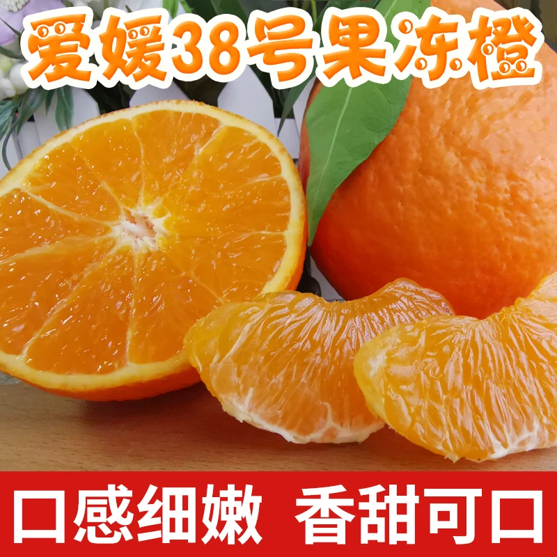 【套袋果好品质】四川眉山爱媛果冻橙皮薄多汁新鲜水果橙子4.5/8斤