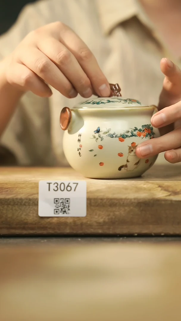 【闪购商品】【经典福利】/宝瓶@@T3067