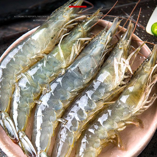 【2030海虾 虾爷爷】速冻发货 单只15-18厘米 500g/4包  净重1600g