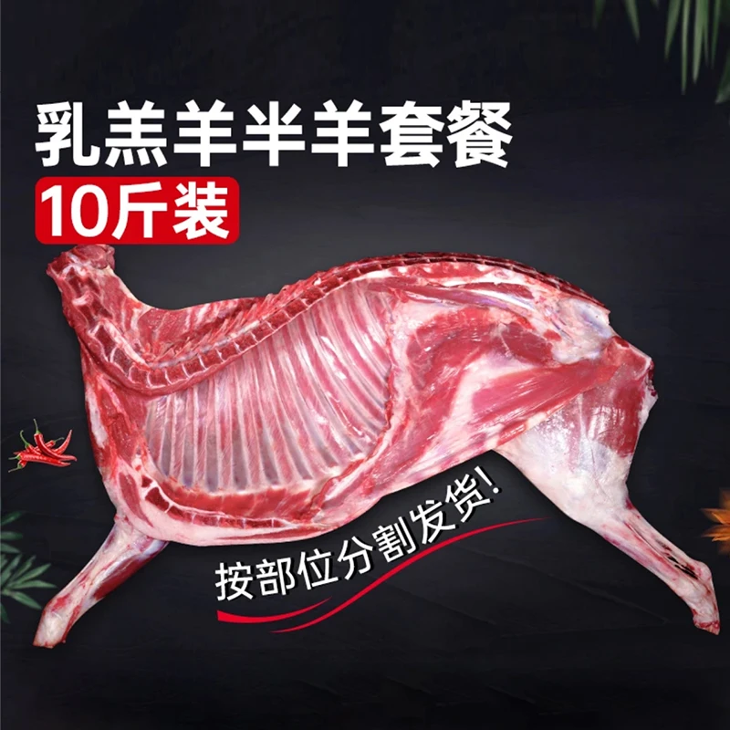 散养乳羔羊半只羊10斤装羊腿羊排羊蝎子分割切块红烧火锅肉质鲜嫩