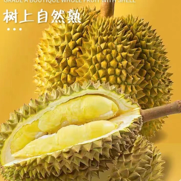 【热卖推荐】泰国树熟金枕榴莲 液氮锁鲜 保4房 无忧售后