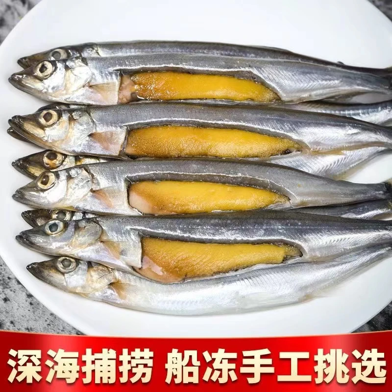 连云港发货 多春鱼 满籽新鲜带籽多春鱼5盒/10盒  130克/克