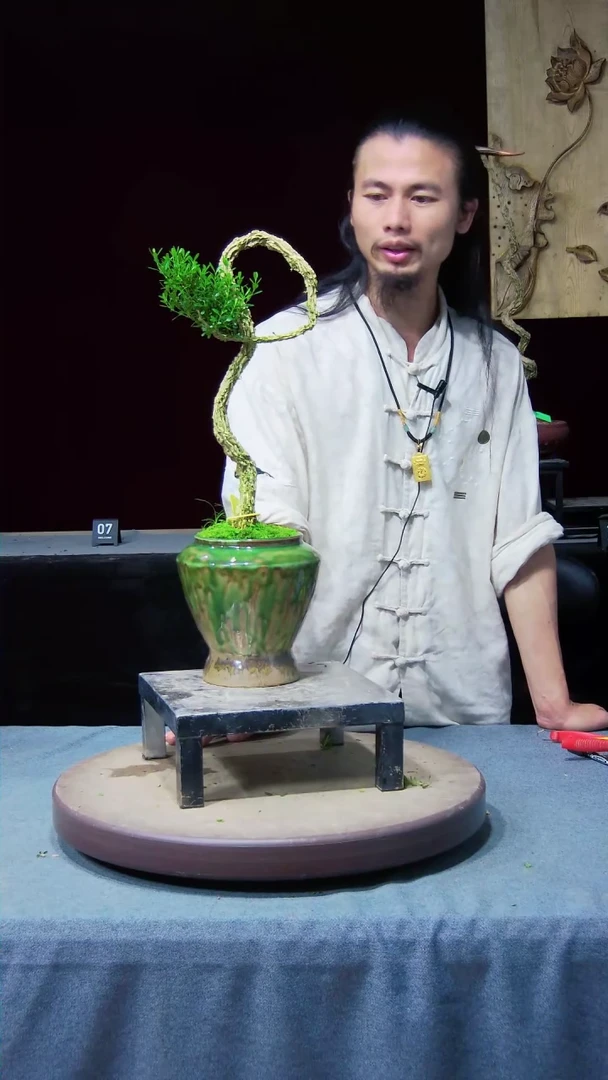 【闪购商品】黄杨盆景黄杨盆景