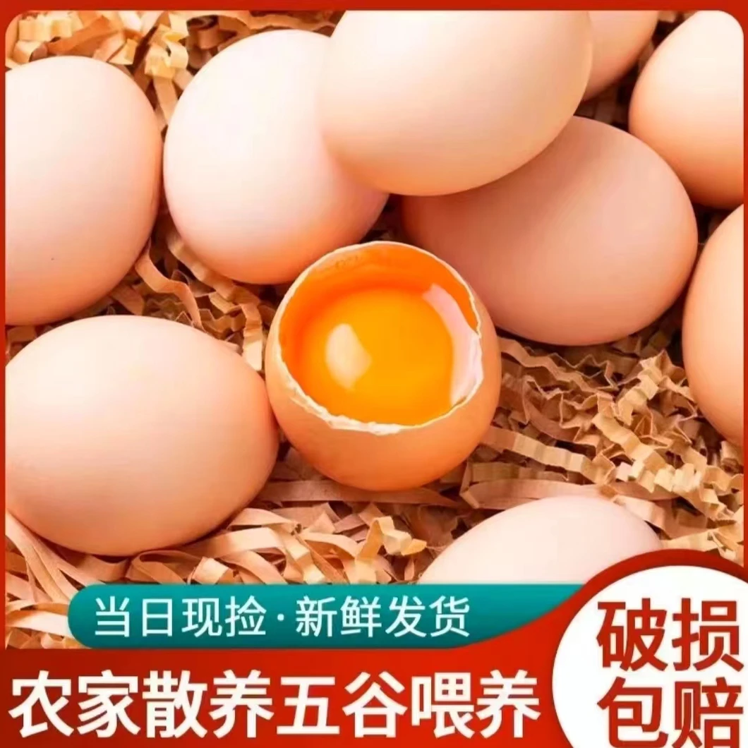 【首鲜】40枚 新鲜现捡现发 土鸡蛋 破损包赔