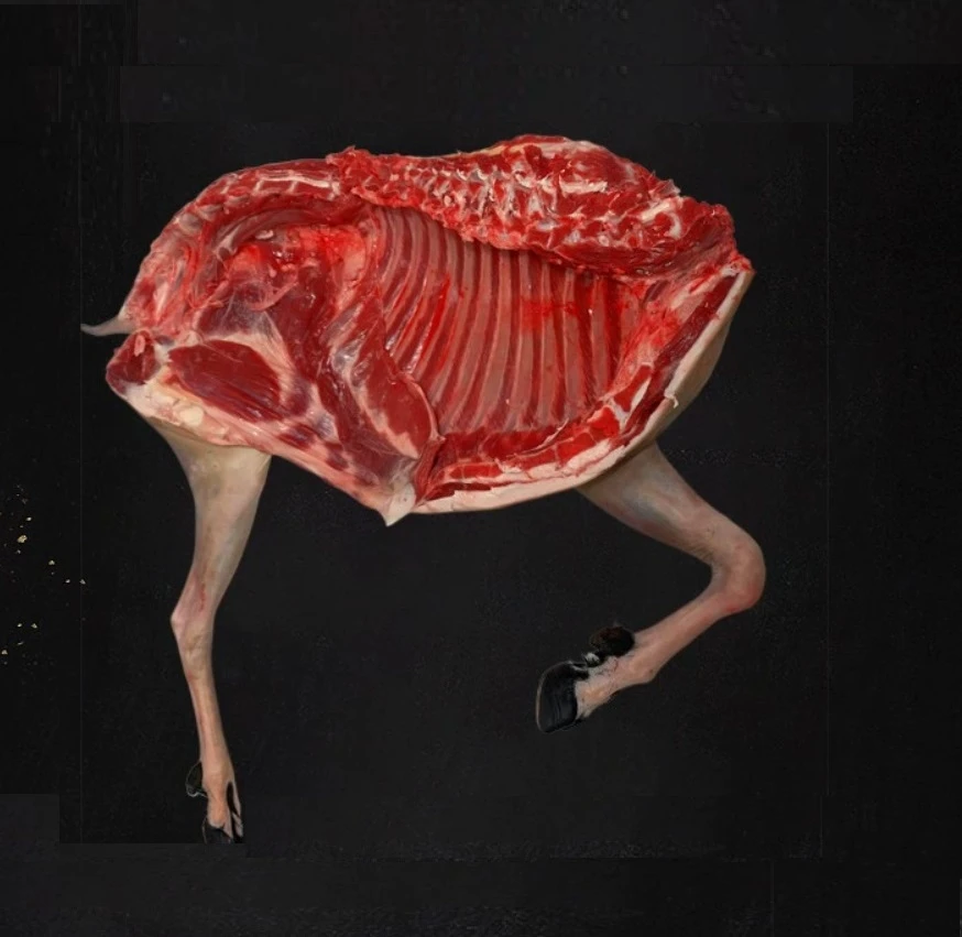 黑山羊整只羊带头，内脏不称重隋唐大运河生态放养