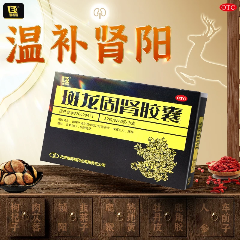 康而福 斑龙固肾胶囊 0.4g*24粒 温补肾阳适用于形寒肢冷神疲乏力