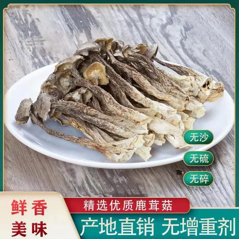 鹿茸菇干货500g包邮特级鹿茸菌无硫新鲜煲汤古田脆脆菇蘑姑干香菇