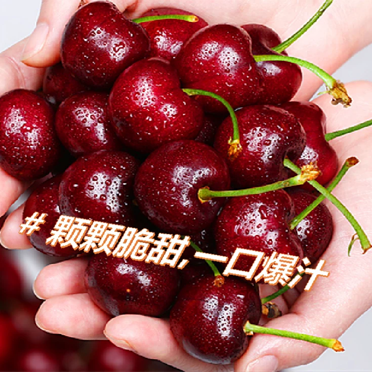 现货桑提娜智利进口车厘子一箱