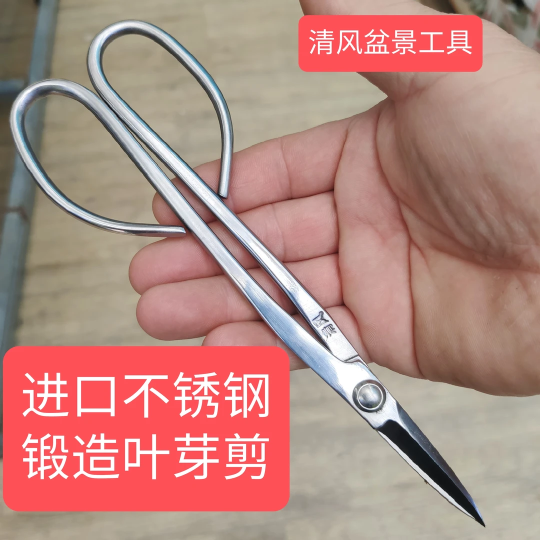 原装不锈钢锻造叶芽剪210型盆景剪刀工具尖头兰花分苗超薄三角刃