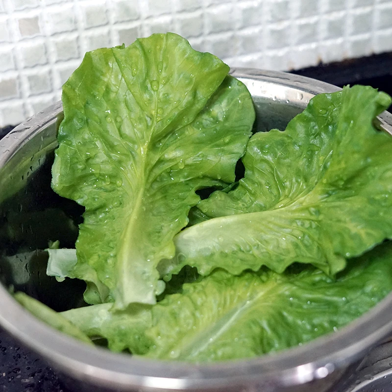 仿真生菜叶子假水果蔬菜片叶可水洗软胶模型酒店装饰食物摆件道具