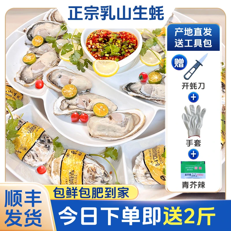 7斤【拍5斤送2斤】正宗乳山生蚝现捕现发源产地顺丰鲜活到家HH