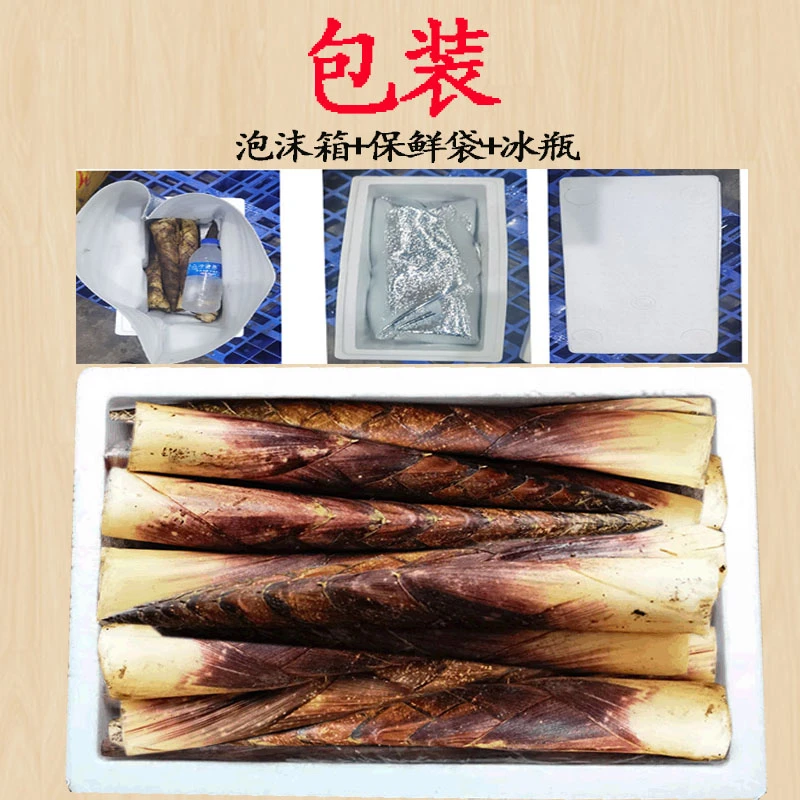 【5斤顺丰包邮】桐梓方竹笋秋天的第一口鲜