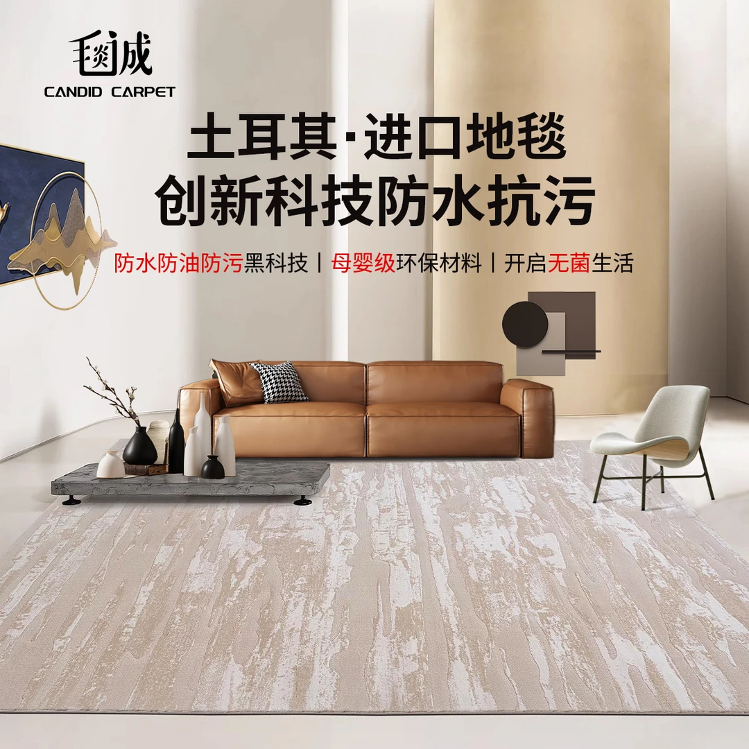 【土耳其原装进口】高级别墅沙发客厅茶几垫地毯卧室地毯防水无胶