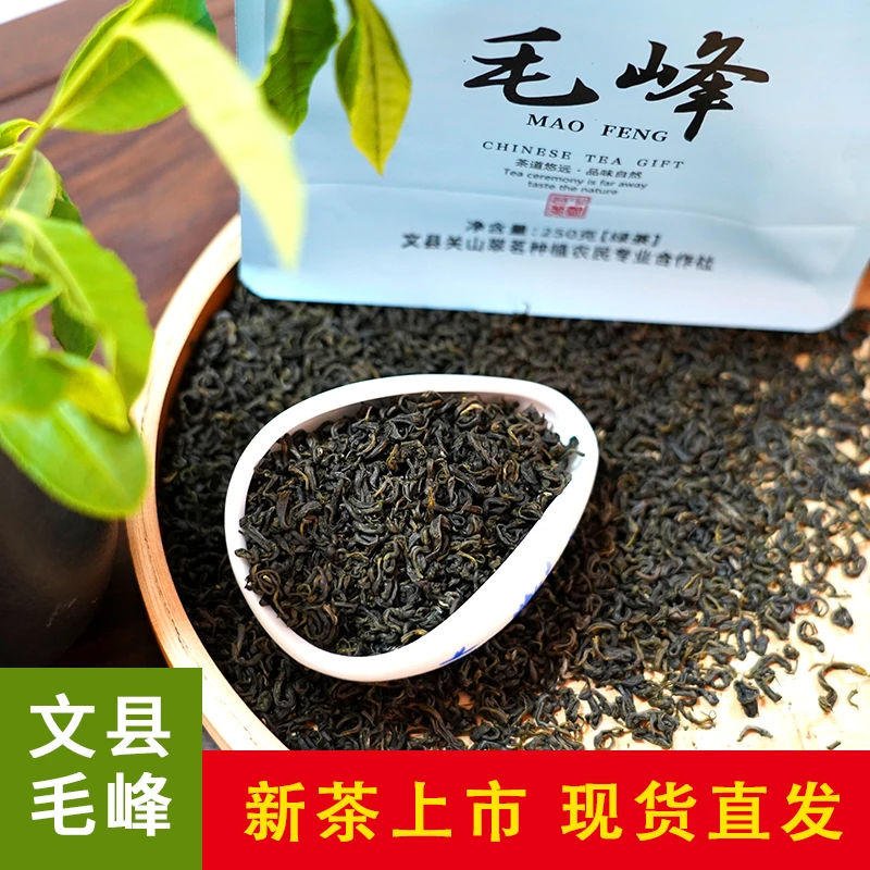 华臻关山翠茗毛峰文县2025新茶鲜嫩明前绿茶正宗品质好口粮茶叶
