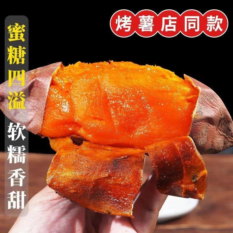 山东正宗烟薯25号（5斤装）圆胖果 烤薯店同款蜜糖四溢 软糯香甜