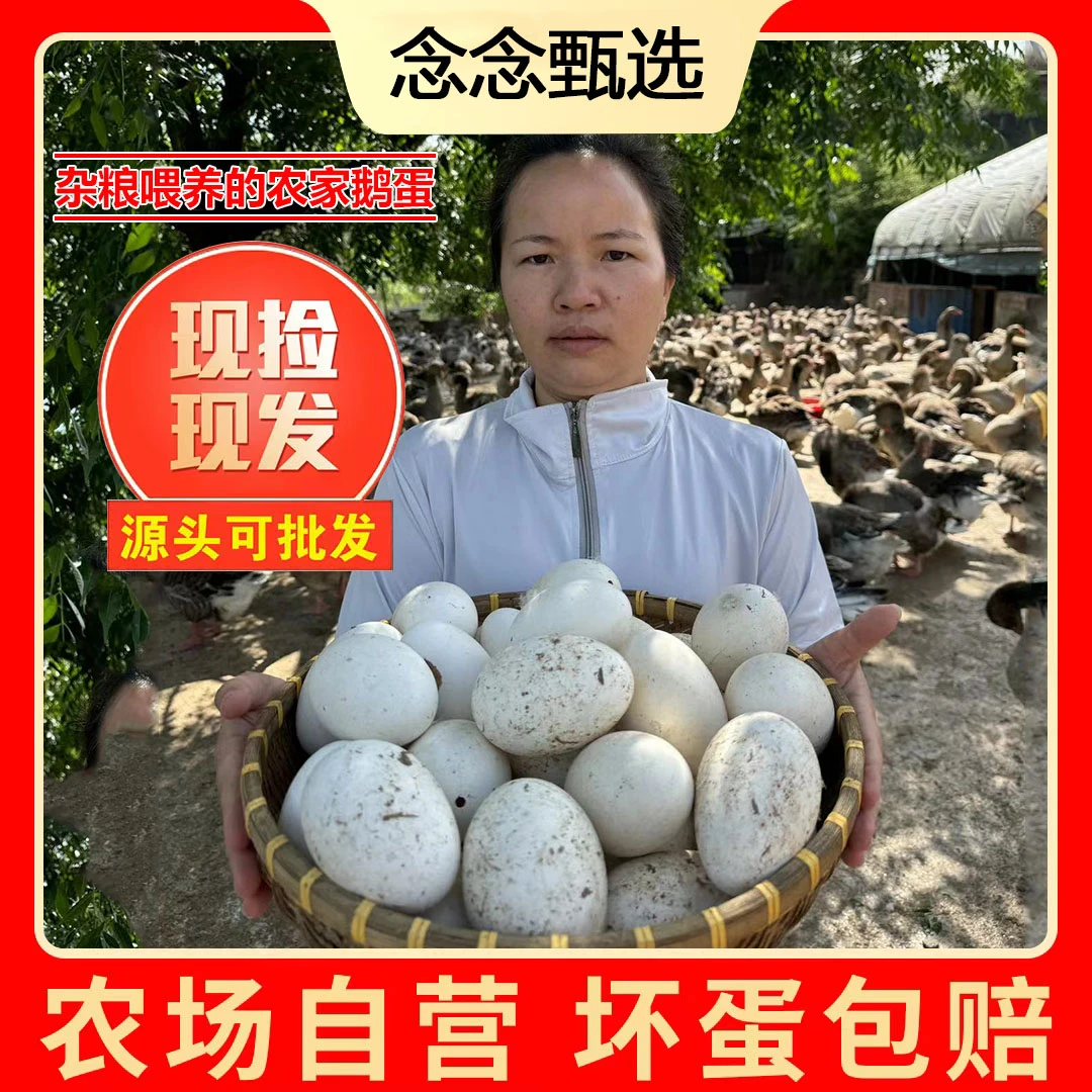 【念念家】现捡现发新鲜散养鹅蛋一箱12个单个重120g左右
