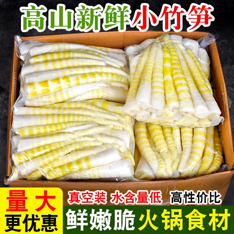 脆嫩高品质四川去壳小竹笋新鲜笋尖清水笋火锅野生罗汉笋春笋商用
