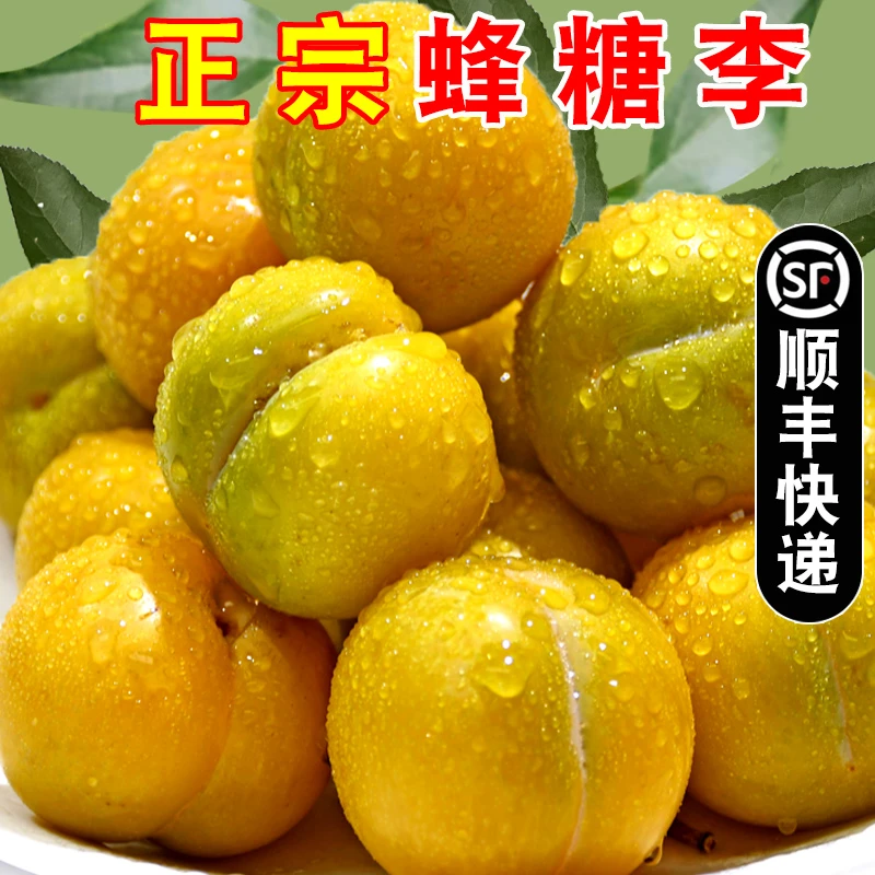 蜂糖李正宗应季水果蜂糖李子香甜多汁新鲜现摘5