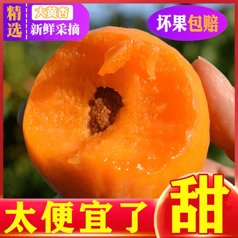 陕西新鲜大黄杏5斤/3斤杏子应季孕妇水果酸甜可口