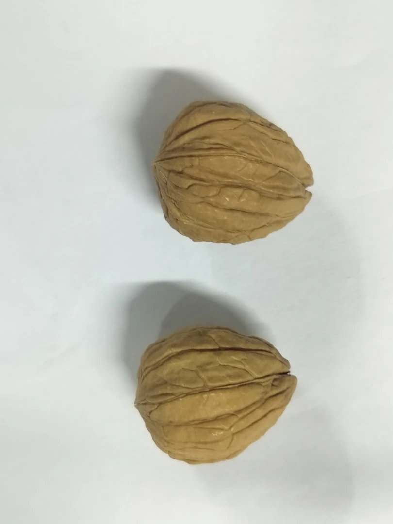 福野生核桃子弹头一对猴头核桃，