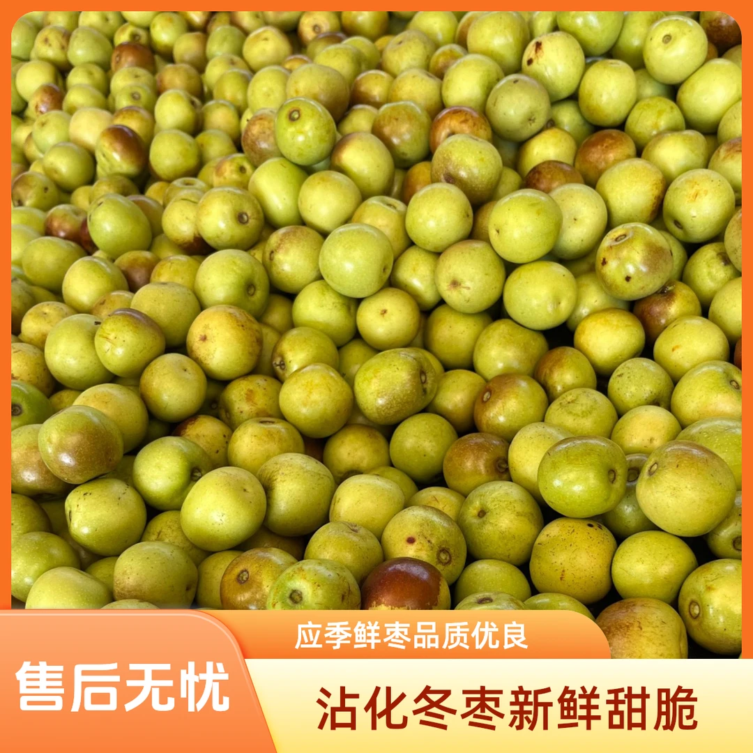 沾化冬枣青枣新鲜水果应季孕妇水果现摘大枣鲜枣脆甜小果介意勿拍