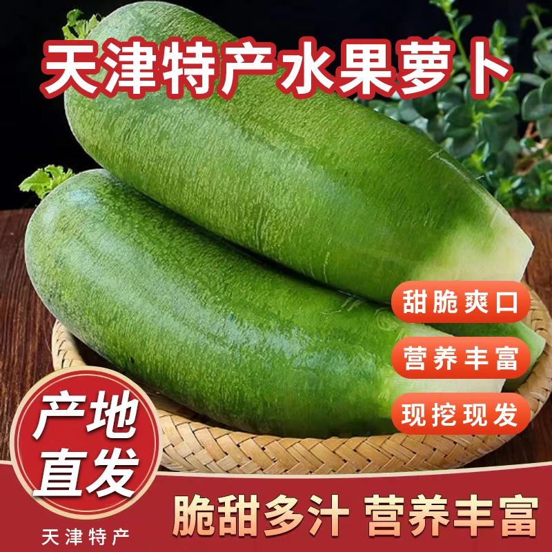 【天津特产】正宗天津水果萝卜脆甜多汁不辣口原产地现拔现发