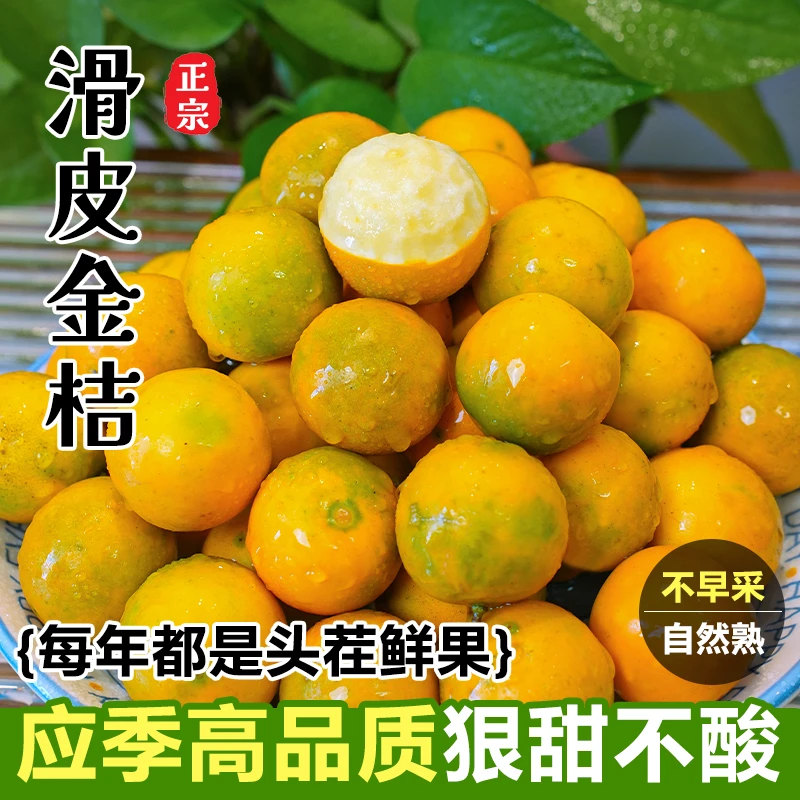 【滑皮金桔】正宗广西第二代融安金桔当季水果新鲜现摘包邮脆甜