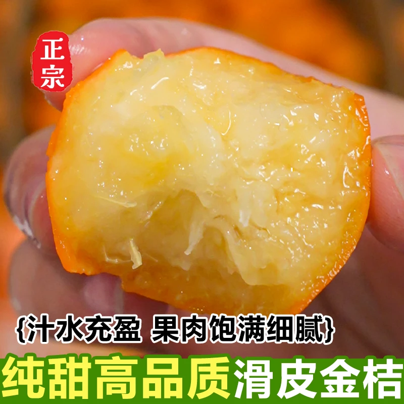 【滑皮金桔】正宗融安滑皮金桔第二代纯甜金桔当季水果新鲜现摘现发