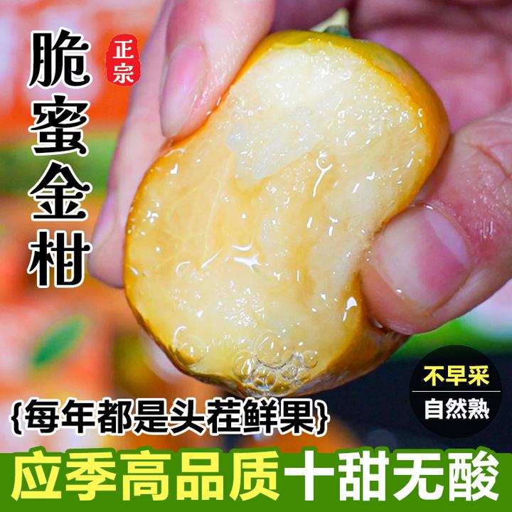 【脆蜜金桔】正宗融安金桔第三代纯甜无籽金柑当季水果新鲜现摘现发