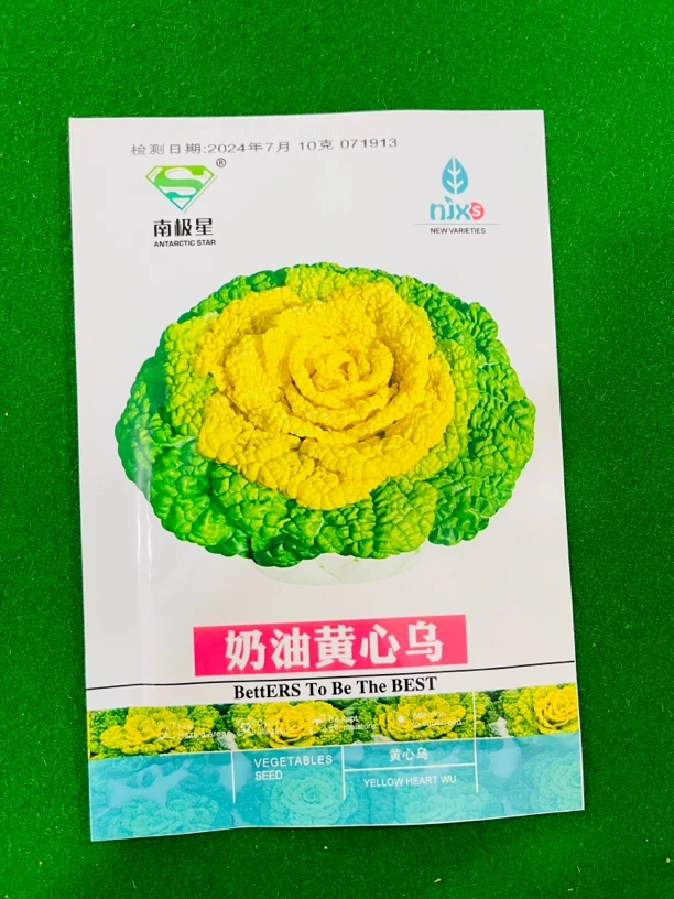 乌塌菜种子(拍一发二)