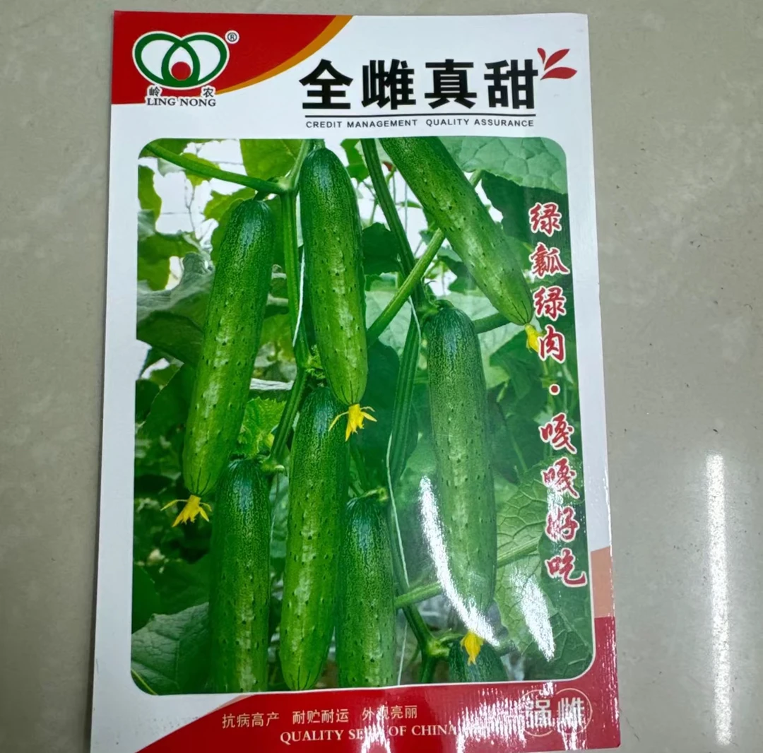 全雌真甜小旱黄瓜