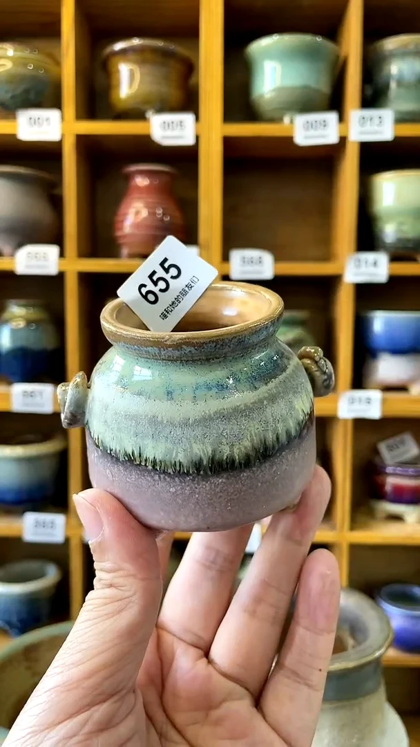 【闪购商品】陶20CM以下655