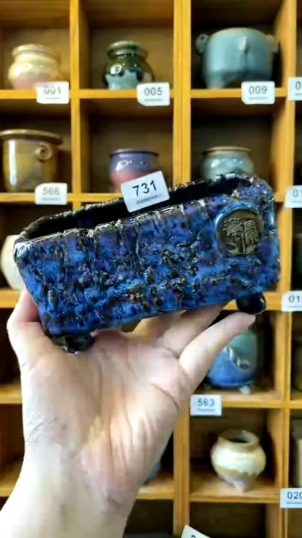 【闪购商品】陶20CM以下731 内口13