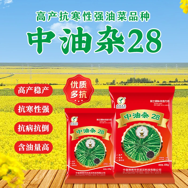 直播专享【中油杂28】优质油菜种子 抗病抗倒 抗寒性强