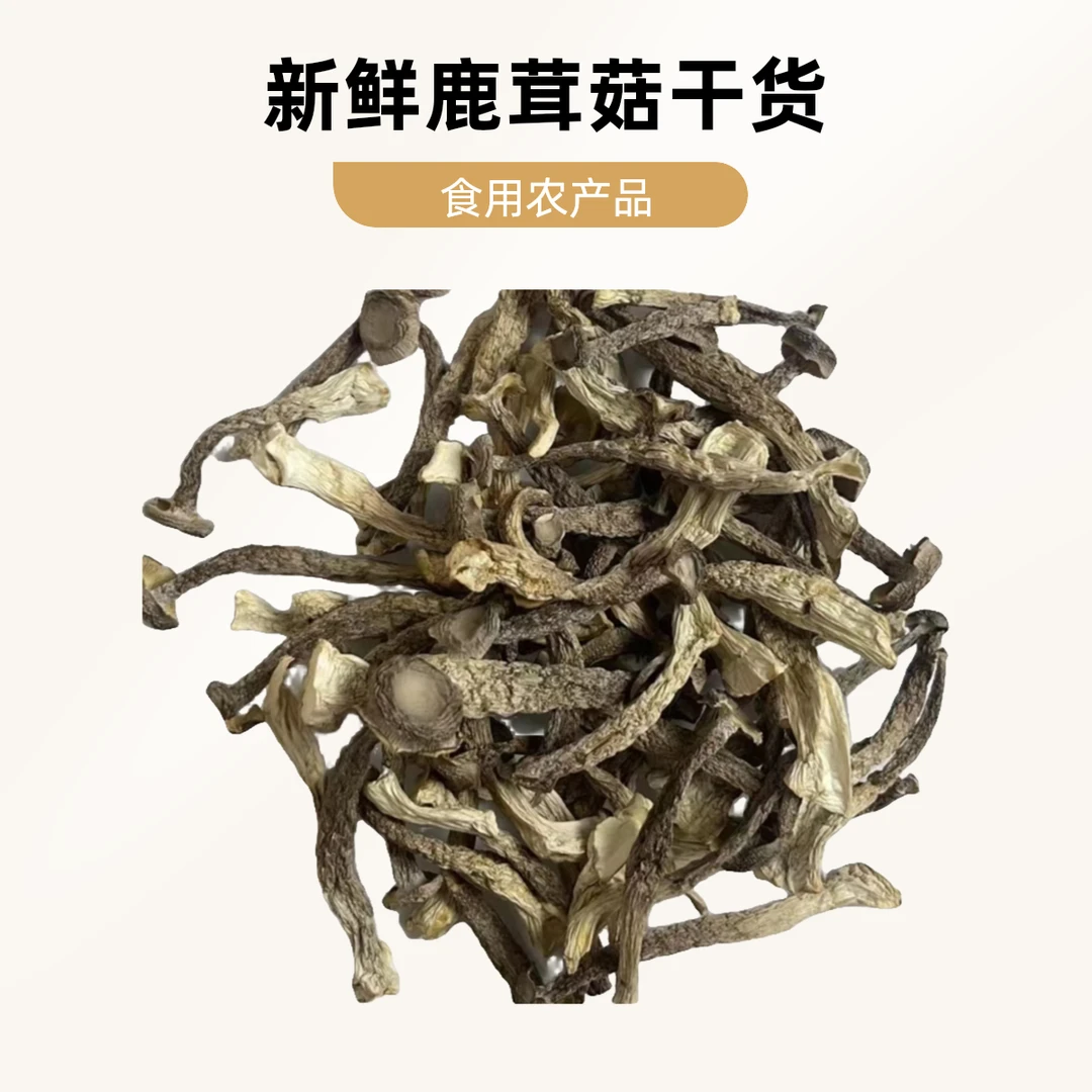 Q1鹿茸菇干货500g精选鹿茸菇干货新鲜