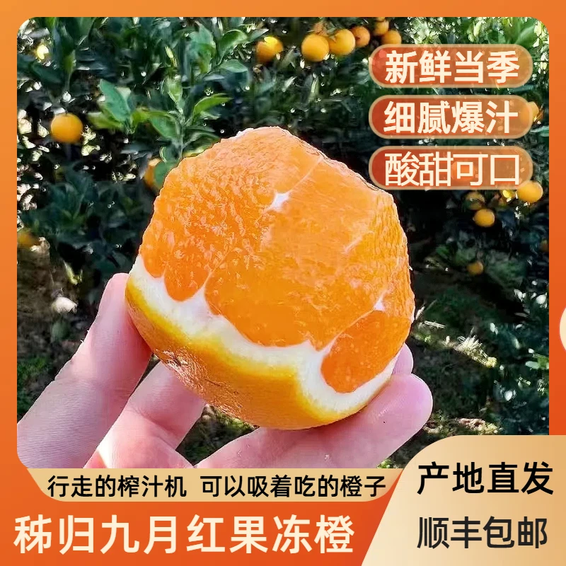 湖北正宗秭归脐橙果冻橙子九月红爆汁细腻无渣现摘现发新鲜水果
