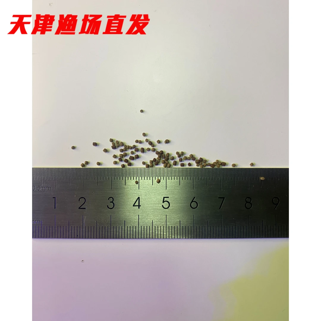 自配鱼粮自制鱼粮热带观赏鱼增艳饲料鱼饲料颗粒灯科鱼可食用