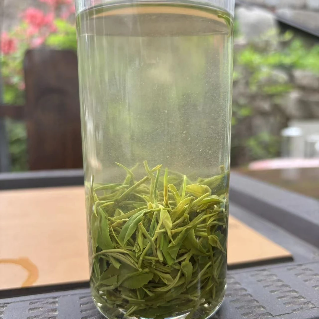 【2024年】老旱茶 手工茶 黑龙潭雨前茶