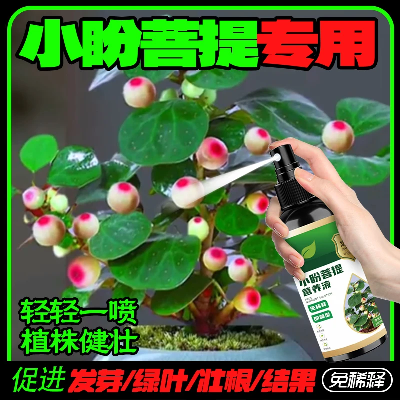 小盼菩提专用营养液防黄叶落果促生长催结果家用绿植有机营养液