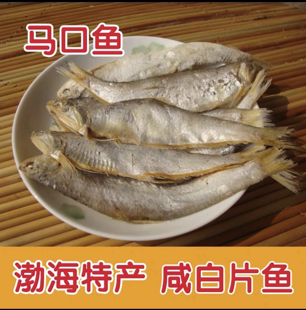 山东渤海湾半干毛扣油扣鱼咸马口鱼5斤装下酒菜鱼干清理食用冷冻