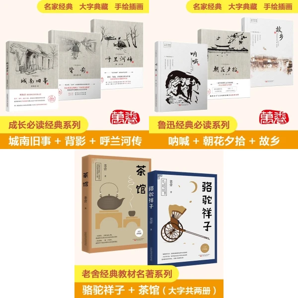 经典 呐喊故乡朝花夕拾城南旧事呼兰河传 背影 茶馆 骆驼祥子初中