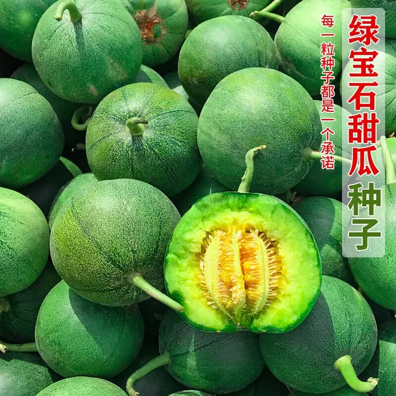 （拍2发3）绿宝石甜瓜种子超甜薄皮香瓜种籽绿皮四季阳台蔬菜