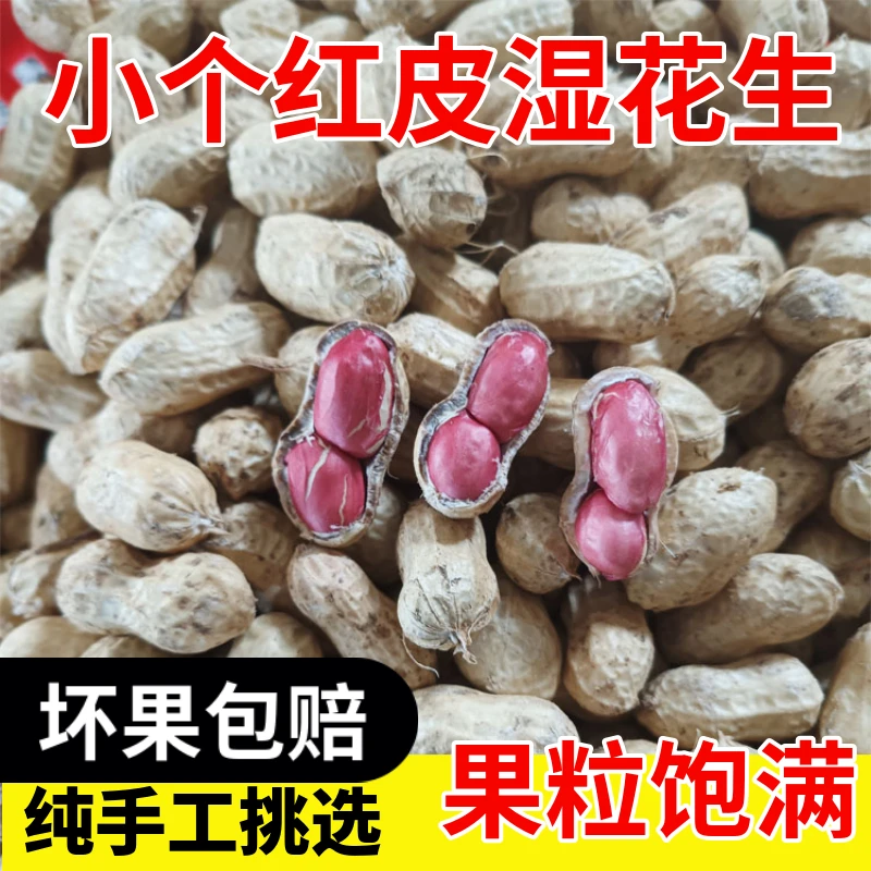 2025新鲜现挖红皮湿花生农家自种小粒带壳生花生5斤